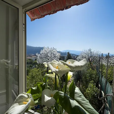 Casa Lina Holiday home